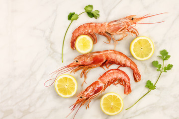 Raw shrimps with slices of lemon, cilantro, and copyspace