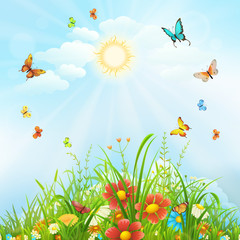 Fototapeta na wymiar Summer background with butterflies, flowers and green grass