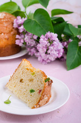 Slice of pannetone cake with cugar fruits and lilac flowers on spring background. Selective focus