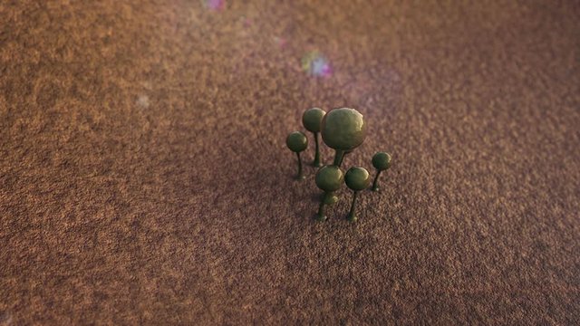 fungus on the leather surface, reproduction of fungi, fungus growing, growth of the fungus