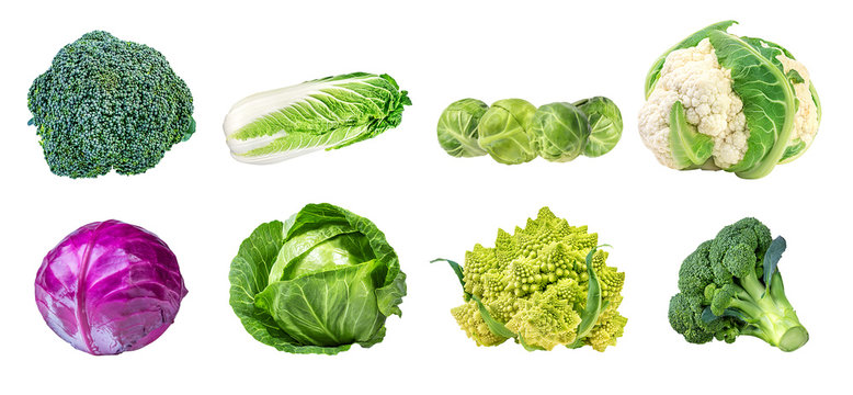 collection cabbages isolated on a white