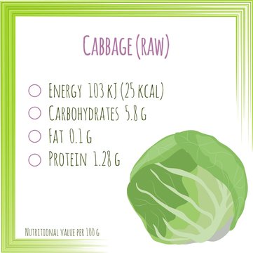 Cabbage. Nutrition facts. Flat design, no gradient. Vector illustration