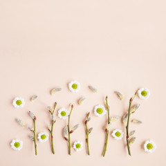 Camomile flowers and willow branches on pastel pink background - creative spring or Easter composition, frame, border. Flat lay, top view, minimal concept