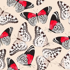Varicolored butterflies seamless