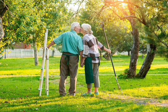 Senior couple kissing, summer. Gardeners holding rake and stepladder. Life, love and labor.