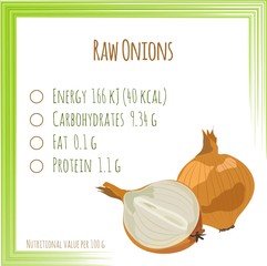 Onions. Nutrition facts. Flat design, no gradient. Vector illustration