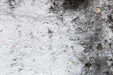 white concrete wall texture