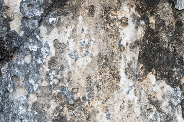 white concrete wall texture
