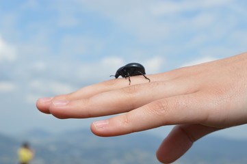 In peace with nature 