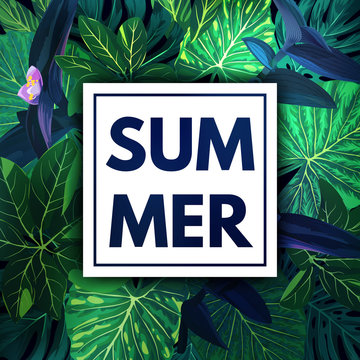 Green botanical summer tropical background with palm leaves and exotic purple flowers. Vector floral template.