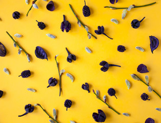 Flowers composition. Creative pattern made of dried violet flowers and willow branches on yellow background. Flat lay, top view.