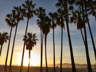 Obraz na płótnie Canvas Venice Beach. Sunset. Summer concept California Los Angeles