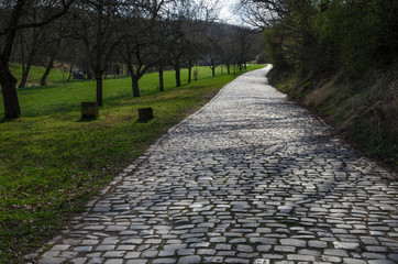 kopfsteinpflasterstrasse
