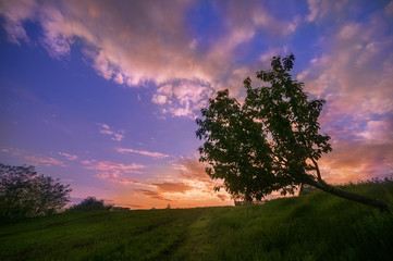 Fototapeta premium Beautiful sunset at the edge of a village near a forest in Valcea county Romania