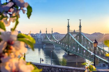 Naklejka premium Budapest, Hungary - The beautiful Liberty Bridge at sunrise with cherry blossom
