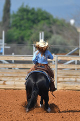 A raer view of a rider sliding the horse in the dirt