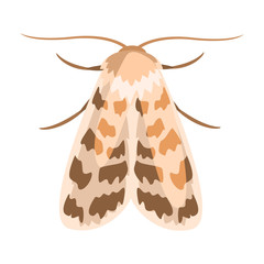 Ash sphinx moth or manduca jasminearum. Colorful cartoon illustration