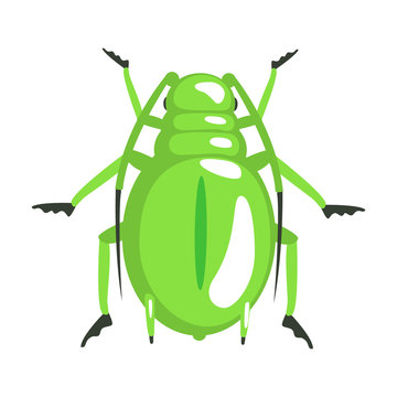 Green Longhorn Beetle Colorful Cartoon Character