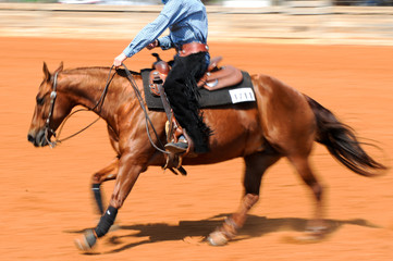 A side view of a rider on horseback