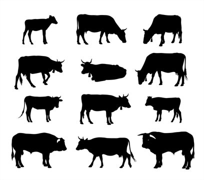 Black Cat silhouette vector icon set isolated on white
