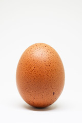 fresh chicken egg on white background. isolated brown egg.