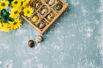 Easter quail eggs in wooden box with flowers . Easter background 