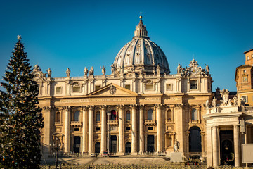 Saint Peter's Square ready for Christmas	