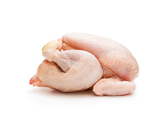 Raw  chicken isolated on white background