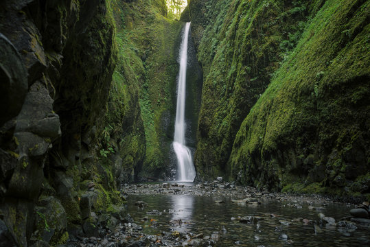 Lower Oneonta Falls waterfall located in Western Gorge, Oregon. © ryan