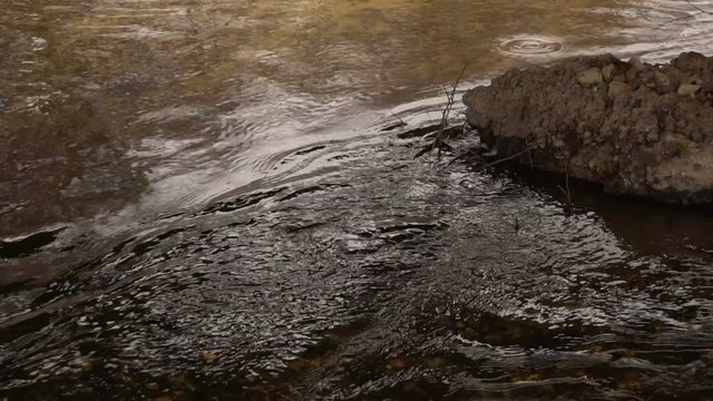 Flow of water. A small stream. Slow motion