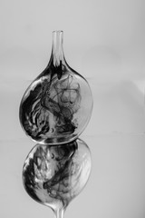 Antique Art Glass Bottle and Reflection balck and white