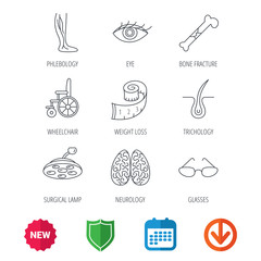 Vein varicose, neurology and trichology icons. Surgical lamp, glasses and eye linear signs. Bone fracture, wheelchair and weight loss icons. New tag, shield and calendar web icons. Download arrow