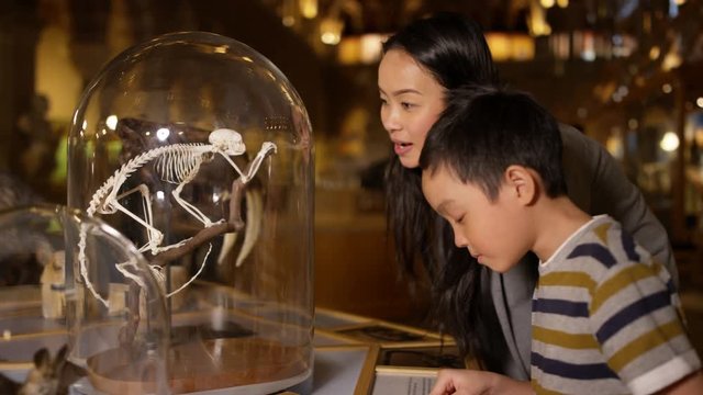 Mother & son in natural history museum looking at a skeleton inside glass jar