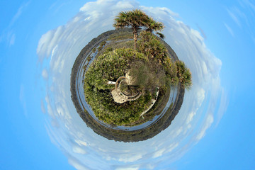 Nature Outdoors Park Tiny Planet