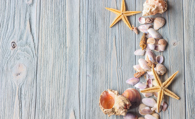 Ракушки, морские звезды, коралл на деревянном фоне