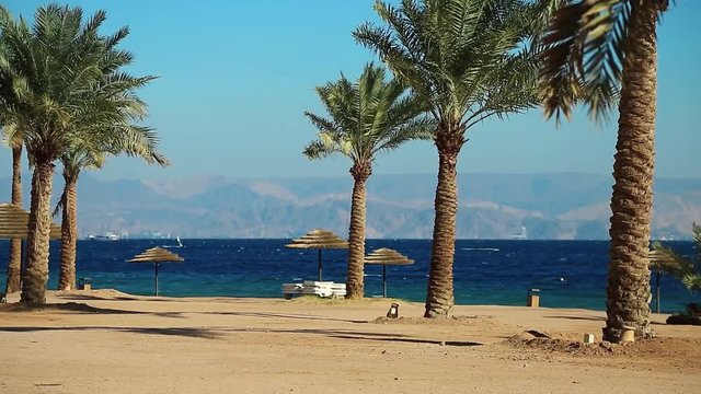 Palms on the beautiful beach. Tropical resort in Tala Bay, Hashemite Kingdom of Jordan. Red sea, gulf of Aqaba. View on Israel and Egypt