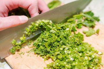 Greens for salad. Cut onions, fennel. Healthy food.
