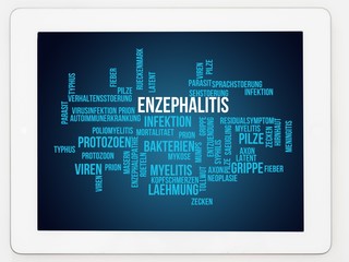 Enzephalitis