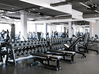 Fototapeta na wymiar Modern gym with dumbbell set. 3d rendering
