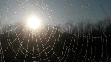 wake up mr spiderman © Alex