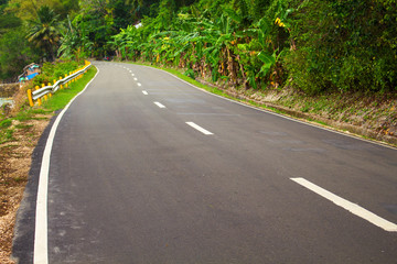 Highway in the jungle. Grey asphalt road and green roadside.
