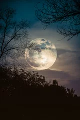 Photo sur Plexiglas Pleine Lune arbre Silhouettes d& 39 arbre sec contre ciel et belle super lune. Extérieur.
