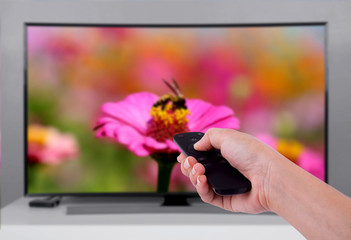 Hand holding TV remote control with a television and nature screen
