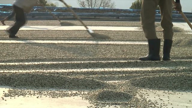 Drying Coffee