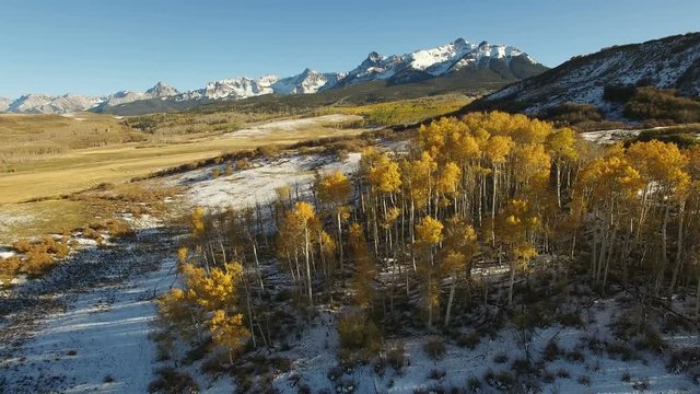 Drone footage panning away from a grove of trees in Colorado