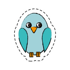 cute bird isolated icon vector illustration design