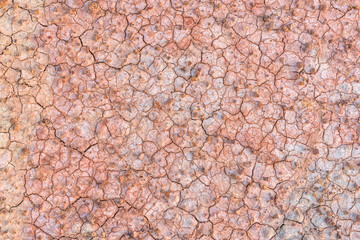 Crack soil texture background