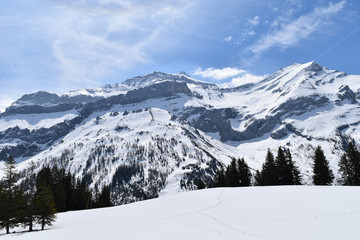 Fototapeta premium Les Diablerets