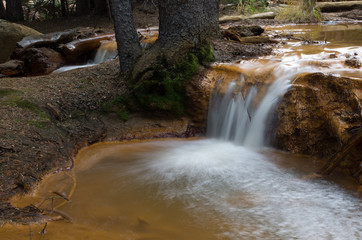 Water fall in forest
