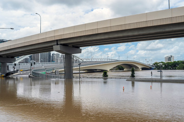 Coronation Drive during Brisbane flood event